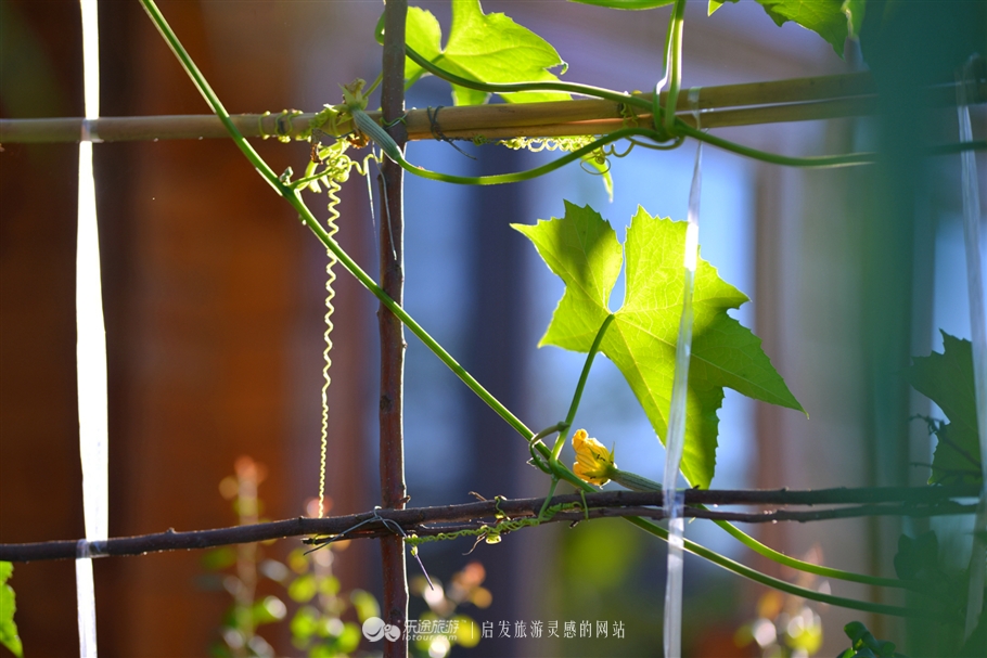 寻觅夏季的清凉,寻觅市井烟火感受光阴阑珊