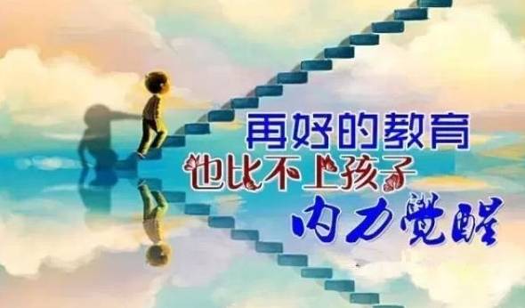 再好的教育都比不上孩子的内力觉醒！（深度好文）