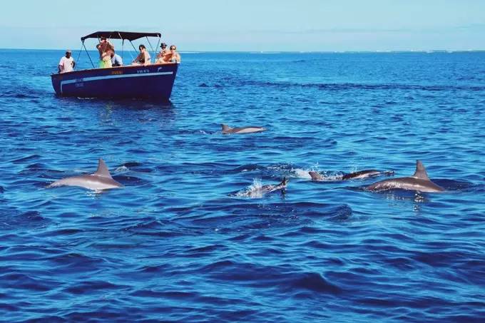 毛里求斯旅游计划,毛里求斯岛旅游