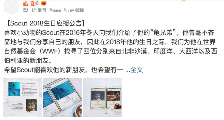 电竞真能成为偶像吗,电竞选手靠谱吗