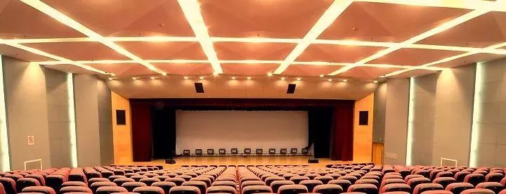 南京河西贵族学校,南京贵族学校