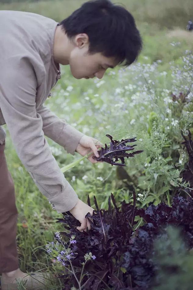 这个男孩子回家租了快地，过起了归园田居的日子