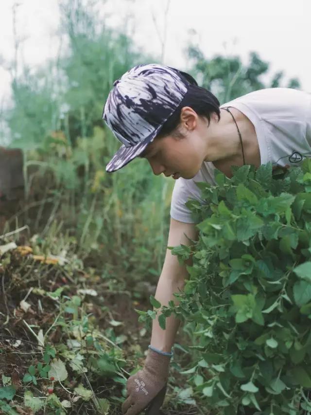 这个男孩子回家租了快地，过起了归园田居的日子