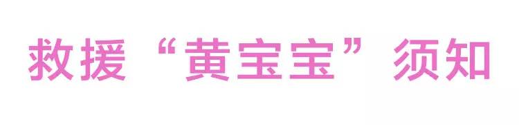婴儿黄疸喂水能帮助退黄吗,30天的宝宝有黄疸怎么处理