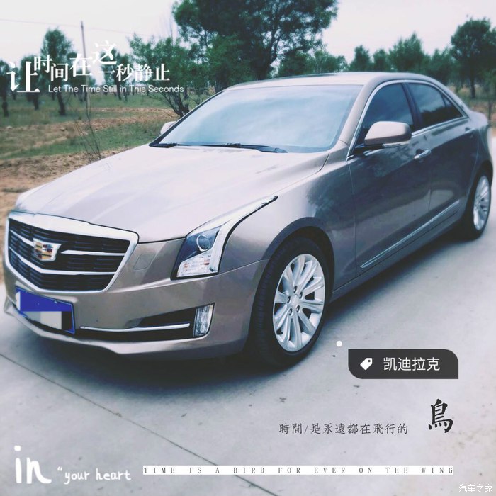 凯迪拉克车主用车感受,凯迪拉克车主该有的样子