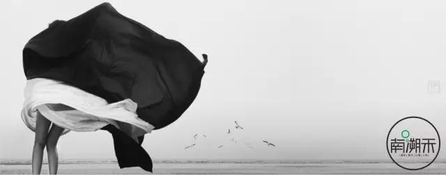 平凡是生活的间谍——《乌龟之意外速游》