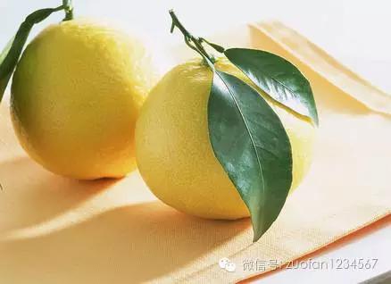 它们都是口臭的天敌！彻底和口臭说拜拜