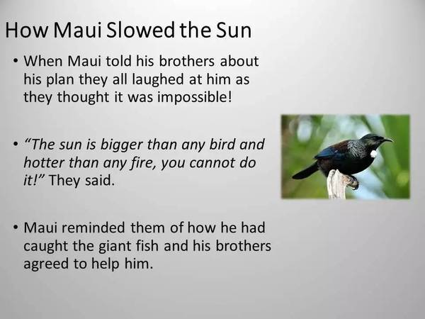 卓悦英语课程,卓悦英语速记