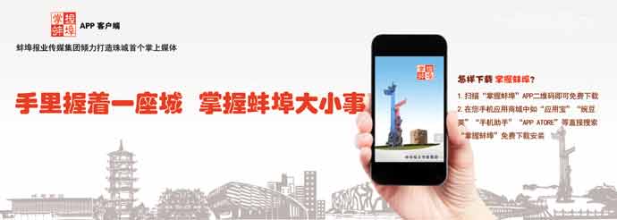 蚌埠甜粽,蚌埠即食粽子哪家好吃