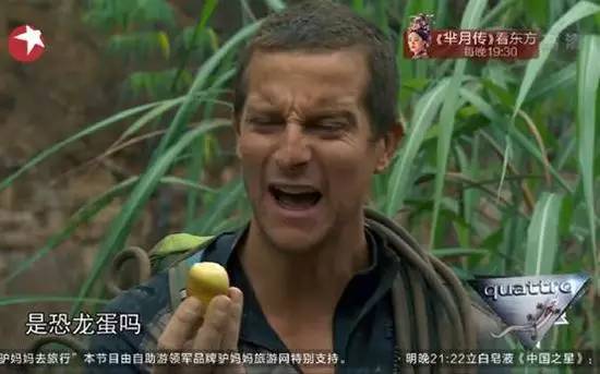 看魔兽影片,看魔兽应该知道的事