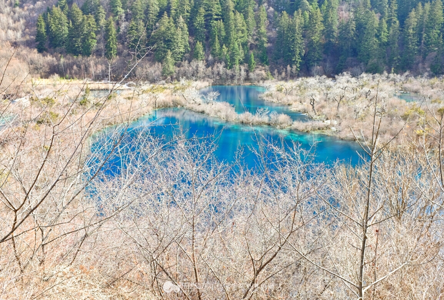 九寨沟的四季的特点,九寨沟真的是人间仙境
