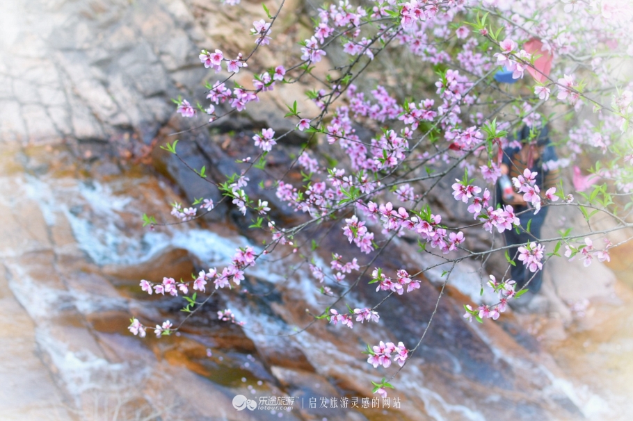 山灵水韵，德才兼备，了不起的安庆*光春**