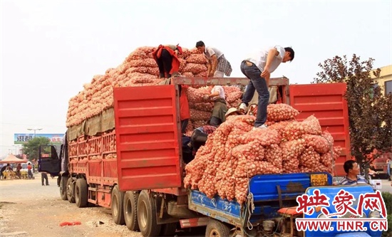 杞县大蒜价值多少钱,杞县全国第一大蒜