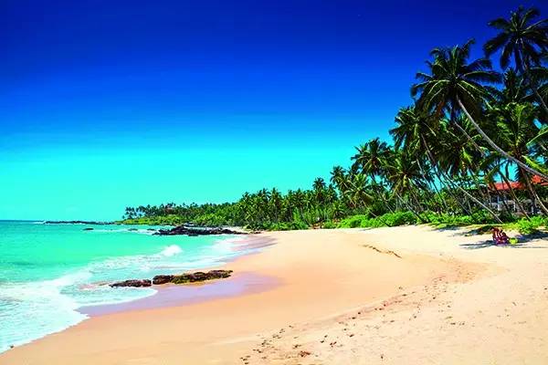 星球坐标|斯里兰卡:阳光、茶叶与火车的奇幻旅程