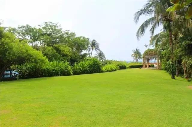 这个端午节要这样玩，千万别错过了！