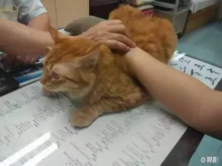 去看魔兽电影,看魔兽的顺序