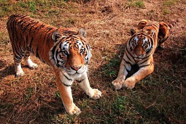 上海地铁沿线好玩的地方,上海地铁14号线沿线景点