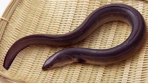 千万别在网上搜索的东西,永远不要在淘宝上搜索什么