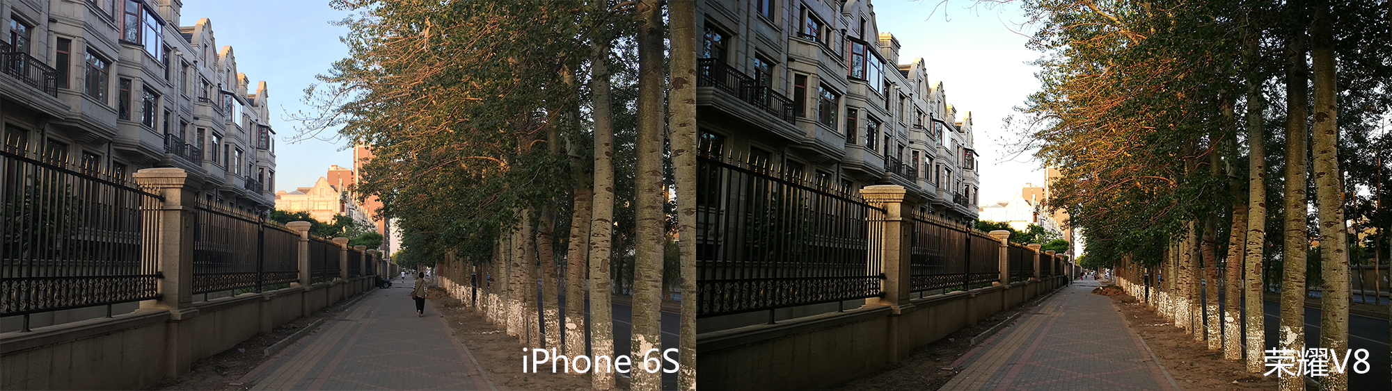 荣耀8和苹果6对比评测,荣耀70和苹果8哪个拍照好