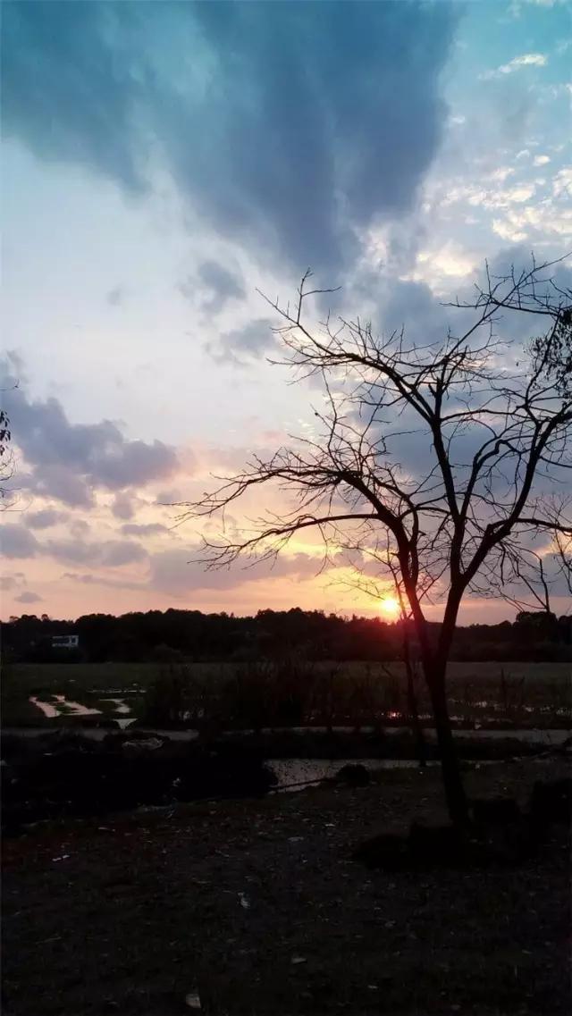 最美我家乡,最美我家乡原唱