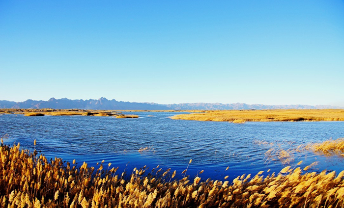 重回巴彦淖尔：八百里河套我用三天走过，十四年之痒我于一夕安放