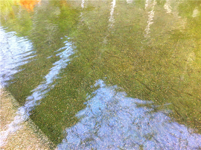 重回巴彦淖尔：八百里河套我用三天走过，十四年之痒我于一夕安放