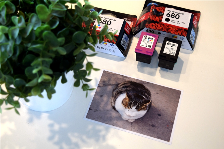 惠普打印机墨盒多少钱,惠普原装墨水多少钱能买到