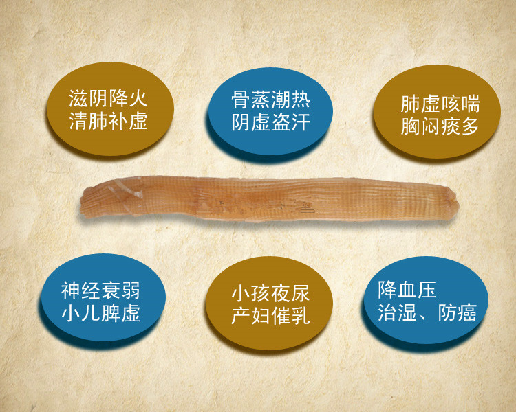 美食盛誉远超中药美名，听说过海蚕沙吗？可益气活血、滋阴通乳