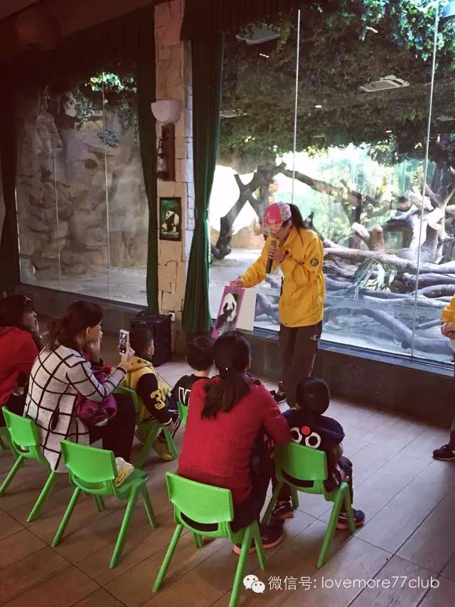 一日游广州长隆野生动物园攻略,广州长隆野生动物园自由行攻略