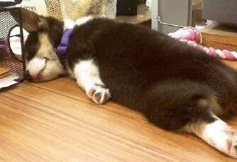 兄弟再给你一次机会你会说什么,兄弟给你机会了原视频