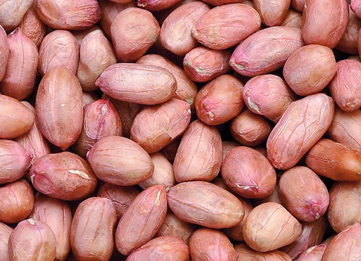 鸡蛋牛奶小麦大米过敏的宝宝辅食,过敏宝宝辅食添加时间顺序和种类