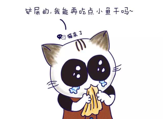 怎么通过客车运送宠物,火车宠物托运怎么办理