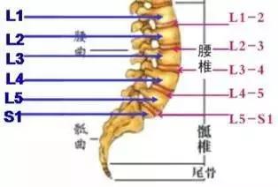 颈椎病的预防和治疗,脊椎病怎样有效预防和治疗