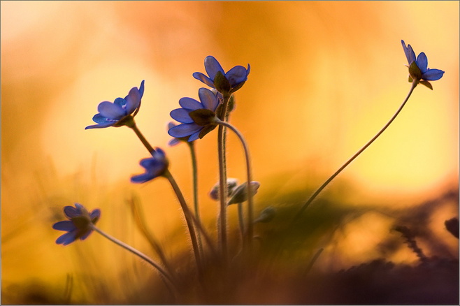 半夜胸闷发热怎么回事,身体发热胸闷是什么病