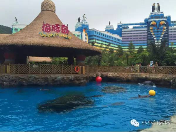 珠海长隆动物园游记,游记长隆动物园