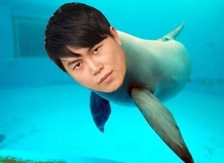 刀塔直播主播,刀塔斗鱼直播