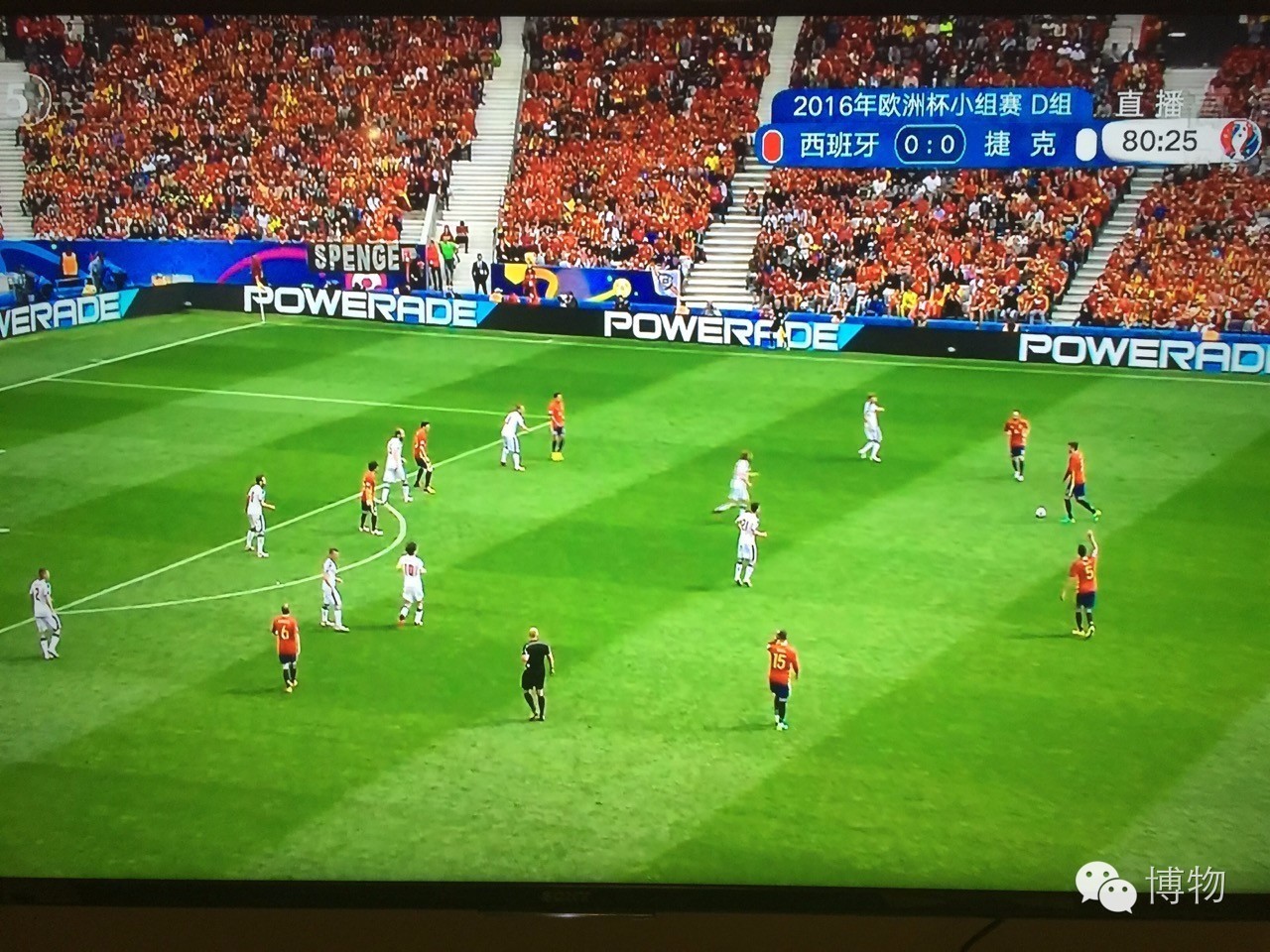 足球场的草坪为什么这么丝滑,足球场的草地是什么草