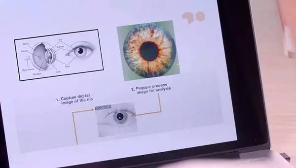 武汉的光谷是个什么地方,武汉最神奇的地方东湖高新