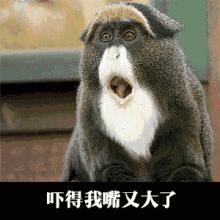 成都市民遭“呼死你”轰炸，只因一个差评