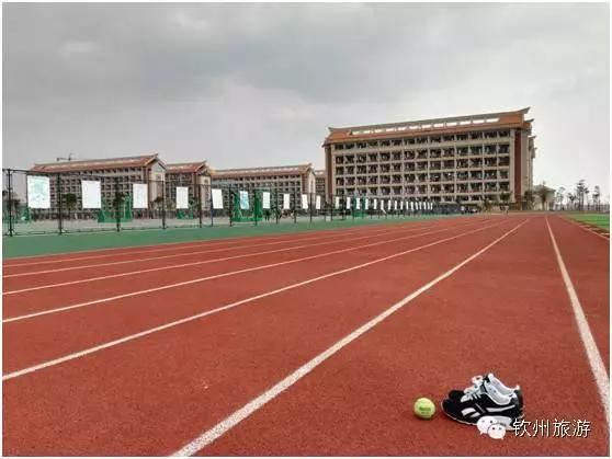 钦州学院,钦州学院2019