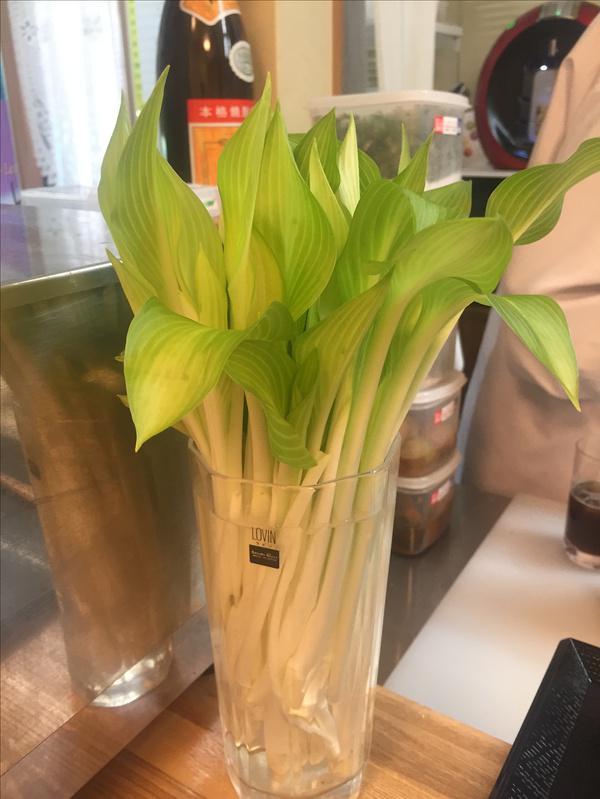 日本生活日常美食探馆,日本吃货小细节