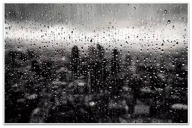 鎶曡祫鎬绘槸鍙樺够鑾祴,鎶曡祫涓殑鍥涘杞洖