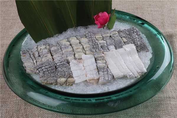 盘点鳄鱼的六大天敌都有哪个,盘点鳄鱼的十大天敌