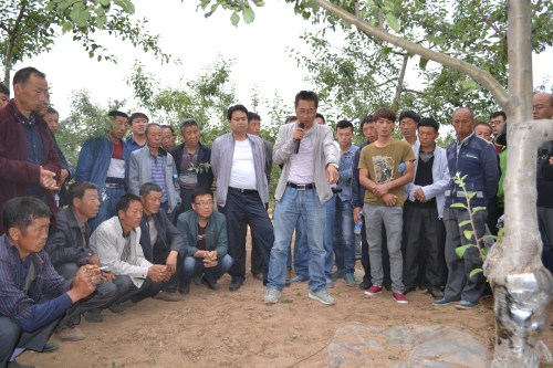 帕累托最优状态的例子,帕累托最优状态所必须满足的条件