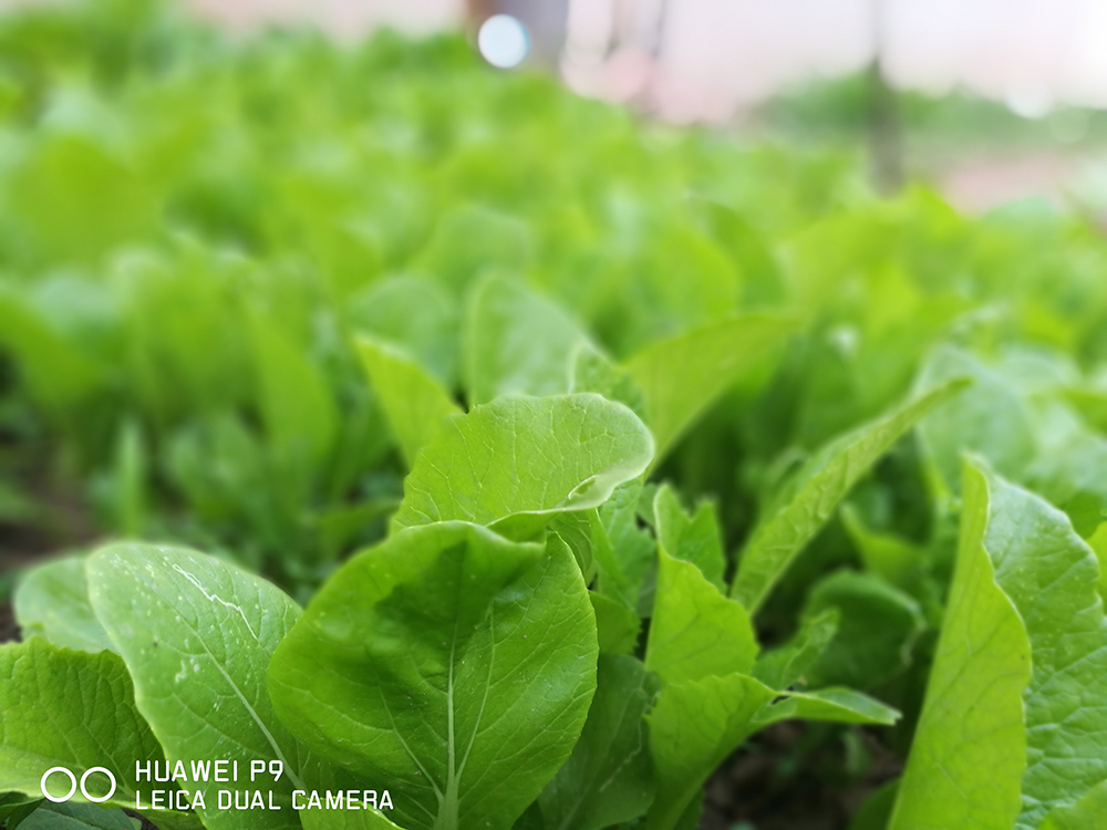 华为p9录屏功能在哪里,华为p9你不知道的黑科技