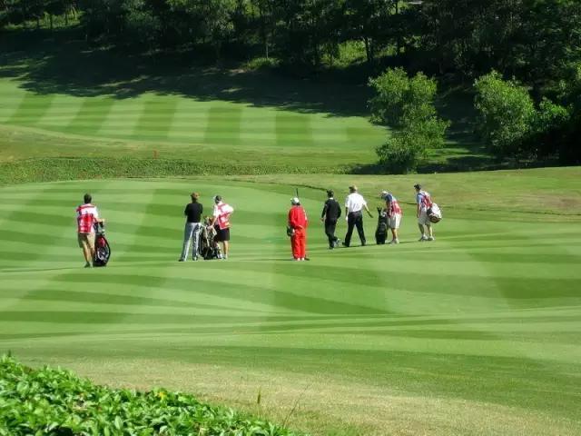 五a景区免门票,广东五A级旅游景区