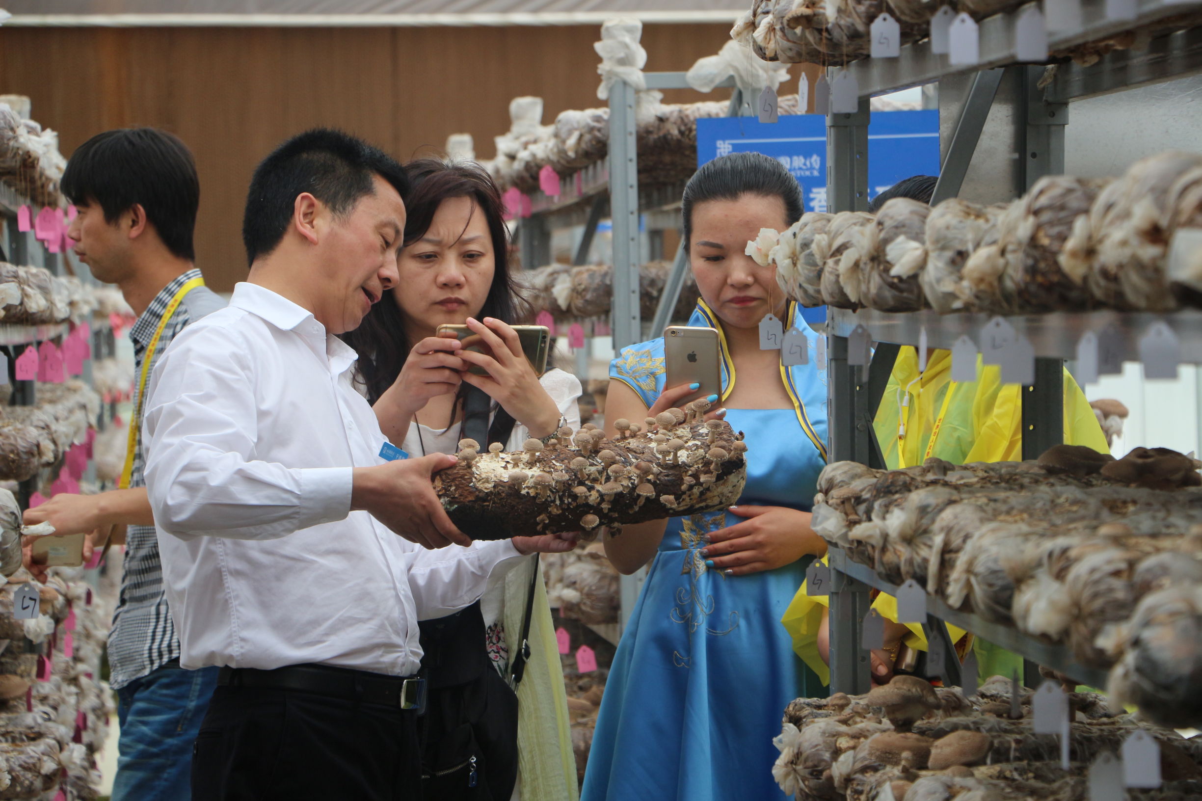 大美中国随州旅游攻略,灵秀湖北千湖之地
