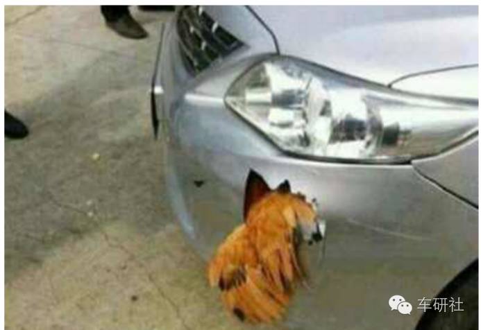 揭露国人买车的4个误区,中国人买车的十大感悟