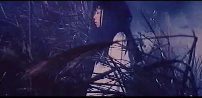 看这部电影你需要两包纸巾