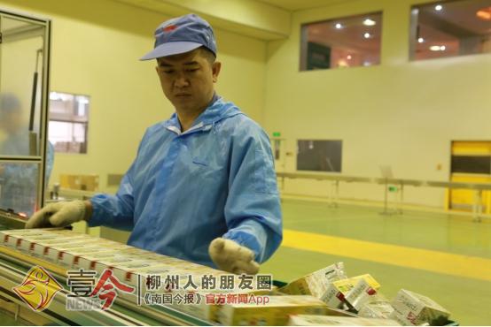 探秘地下核工厂,两面针生产线